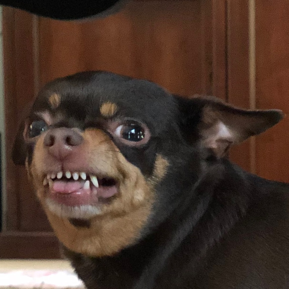 Meet your Posher, Jaida